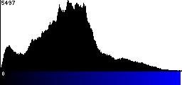 Blue Histogram