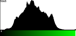 Green Histogram