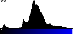Blue Histogram