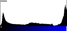 Blue Histogram