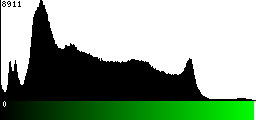 Green Histogram