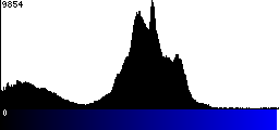 Blue Histogram