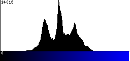 Blue Histogram