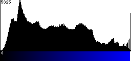 Blue Histogram
