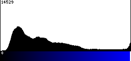 Blue Histogram