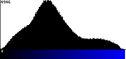 Blue Histogram