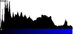 Blue Histogram