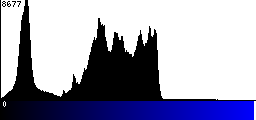 Blue Histogram