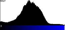 Blue Histogram