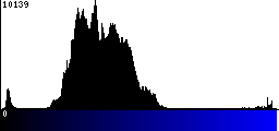 Blue Histogram