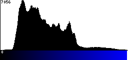 Blue Histogram