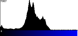 Blue Histogram