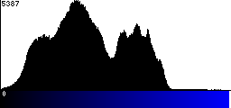 Blue Histogram