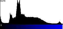 Blue Histogram