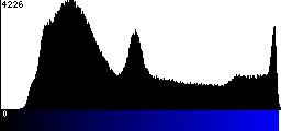 Blue Histogram