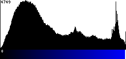 Blue Histogram