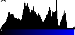 Blue Histogram
