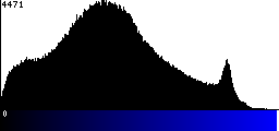 Blue Histogram