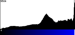 Blue Histogram