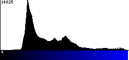 Blue Histogram