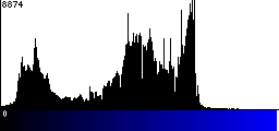 Blue Histogram