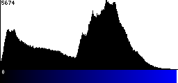 Blue Histogram