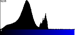 Blue Histogram