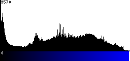 Blue Histogram