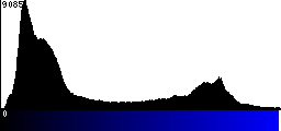 Blue Histogram