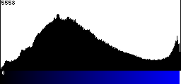Blue Histogram