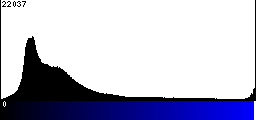 Blue Histogram