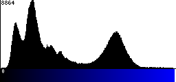 Blue Histogram
