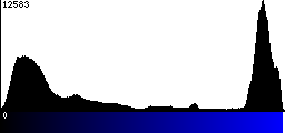 Blue Histogram