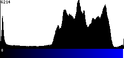 Blue Histogram