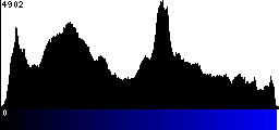Blue Histogram