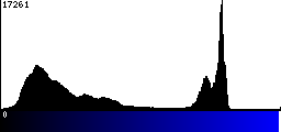 Blue Histogram