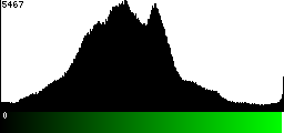 Green Histogram