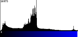 Blue Histogram