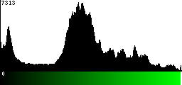 Green Histogram