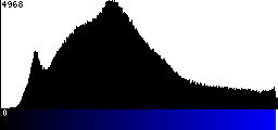 Blue Histogram