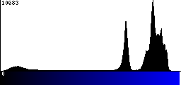 Blue Histogram