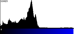 Blue Histogram