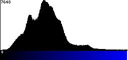 Blue Histogram