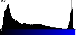 Blue Histogram