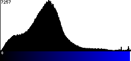 Blue Histogram