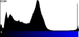 Blue Histogram
