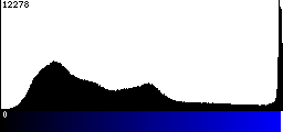 Blue Histogram