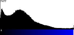 Blue Histogram