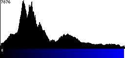 Blue Histogram