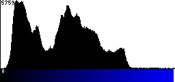 Blue Histogram